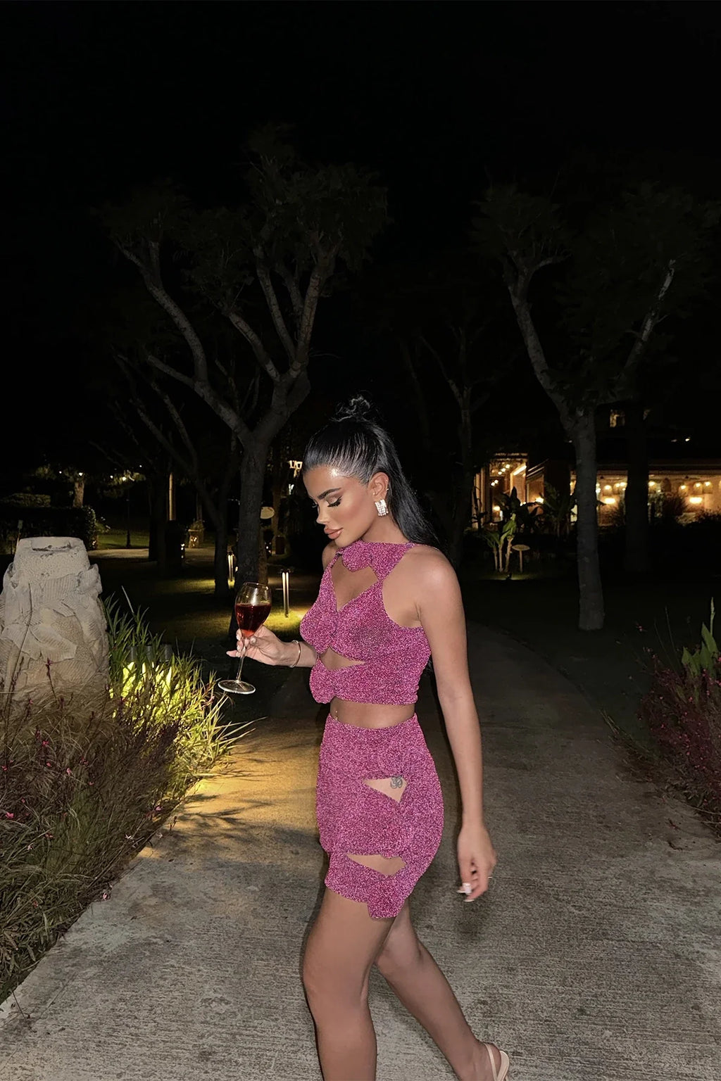 Rose Detail Glitter Mini Dress
