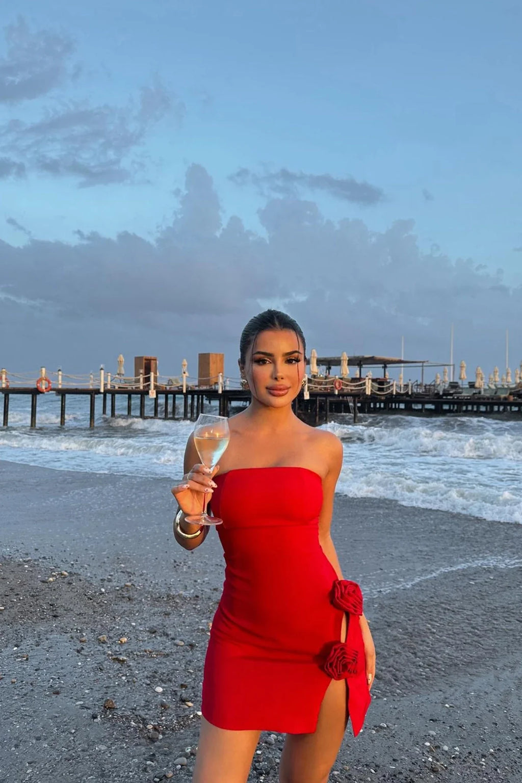 Rose Detail Slit Mini Dress