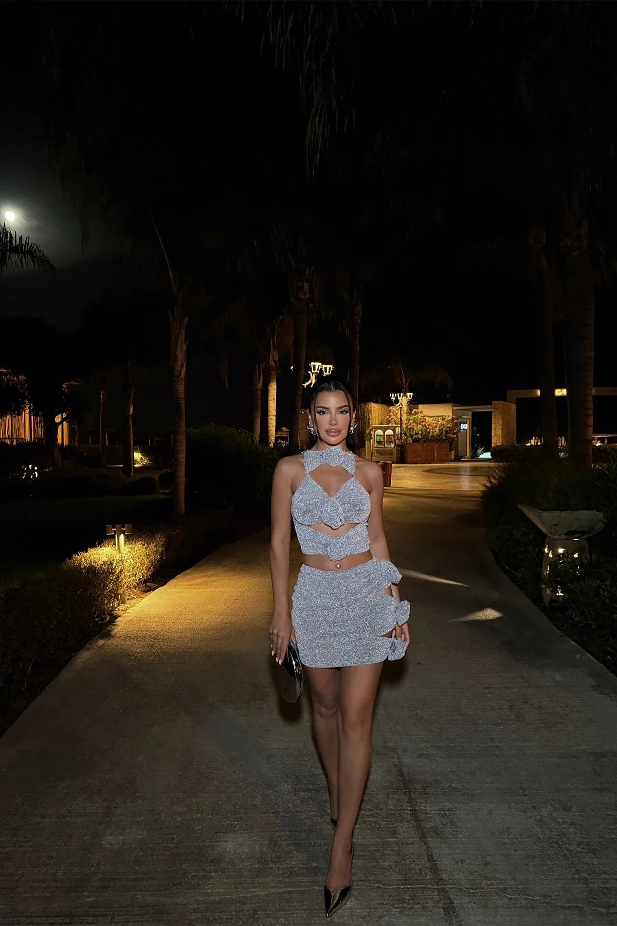 Rose Detail Glitter Mini Dress